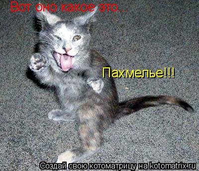 Вот оно какое это... Пахмелье!!!... Котоматрица: Вот оно какое это... Пахмелье!!!