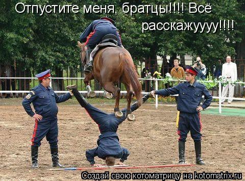 Отпустите меня, братцы!!!! Всё расскажуууу!!!!... Котоматрица: Отпустите меня, братцы!!!! Всё расскажуууу!!!!