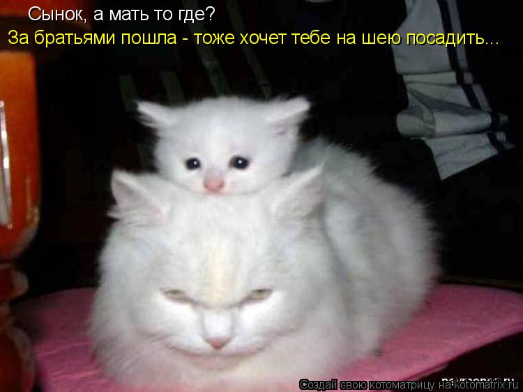 Сынок, а мать то где? За братьями пошла - тоже хочет тебе на шею посадить...... Котоматрица: Сынок, а мать то где? За братьями пошла - тоже хочет тебе на шею посадить...