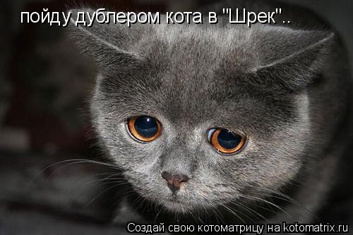 пойду дублером кота в "Шрек"..... Котоматрица: пойду дублером кота в "Шрек"..