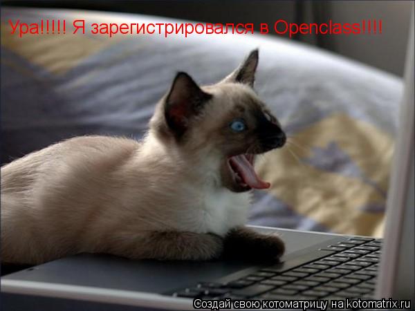Ура!!!!! Я зарегистрировался в Openclass!!!!... Котоматрица: Ура!!!!! Я зарегистрировался в Openclass!!!!