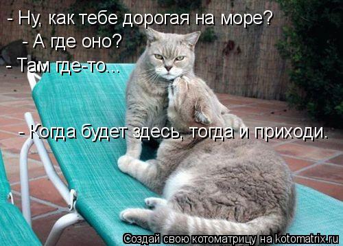 - Ну, как тебе дорогая на море? - А где оно? - Там где-то... - Когда будет здесь, тогда и приходи.... Котоматрица: - Ну, как тебе дорогая на море? - А где оно? - Там где-то... - Когда будет здесь, тогда и приходи.