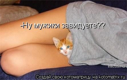 -Ну мужики завидуете??... Котоматрица: -Ну мужики завидуете??