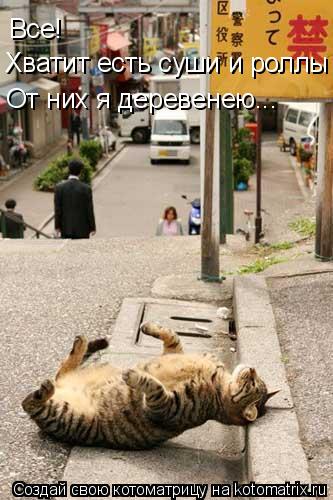 Все! Хватит есть суши и роллы От них я деревенею...... Котоматрица: Все! Хватит есть суши и роллы От них я деревенею...