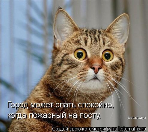 Город может спать спокойно, когда пожарный на посту.... Котоматрица: Город может спать спокойно, когда пожарный на посту.