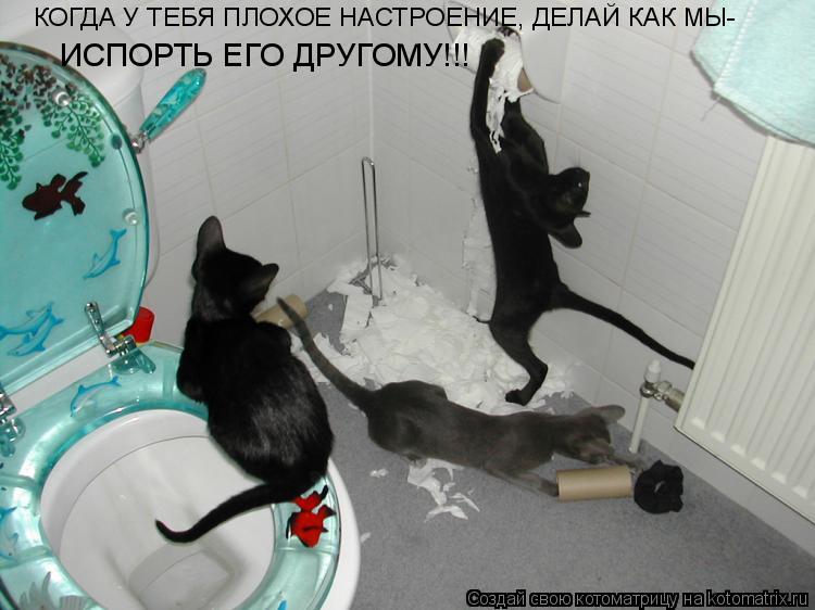 КОГДА У ТЕБЯ ПЛОХОЕ НАСТРОЕНИЕ, ДЕЛАЙ КАК МЫ- ИСПОРТЬ ЕГО ДРУГОМУ!!!... Котоматрица: КОГДА У ТЕБЯ ПЛОХОЕ НАСТРОЕНИЕ, ДЕЛАЙ КАК МЫ- ИСПОРТЬ ЕГО ДРУГОМУ!!!
