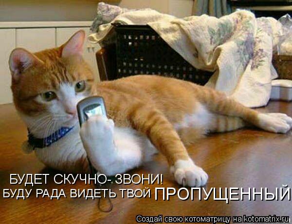 БУДЕТ СКУЧНО- ЗВОНИ! БУДУ РАДА ВИДЕТЬ ТВОЙ ПРОПУЩЕННЫЙ... Котоматрица: БУДЕТ СКУЧНО- ЗВОНИ! БУДУ РАДА ВИДЕТЬ ТВОЙ ПРОПУЩЕННЫЙ