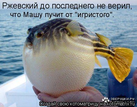 Ржевский до последнего не верил, что Машу пучит от "игристого".... Котоматрица: Ржевский до последнего не верил, что Машу пучит от "игристого".