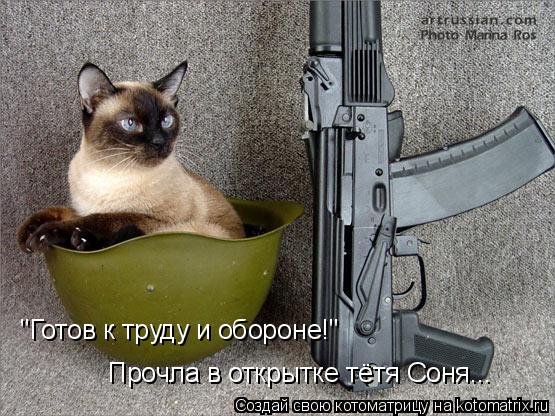 "Готов к труду и обороне!" Прочла в открытке тётя Соня...... Котоматрица: "Готов к труду и обороне!" Прочла в открытке тётя Соня...