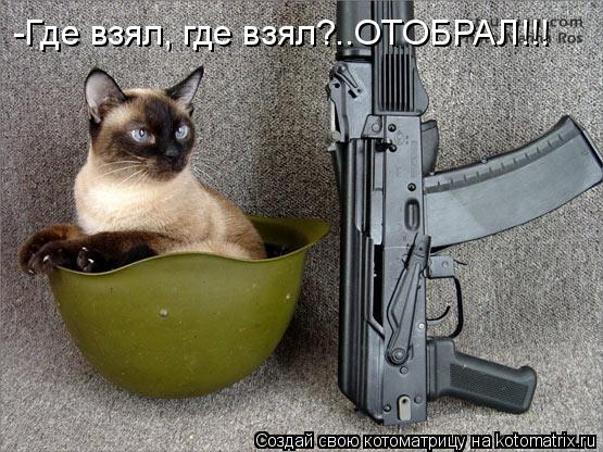-Где взял, где взял?..ОТОБРАЛ!!!... Котоматрица: -Где взял, где взял?..ОТОБРАЛ!!!
