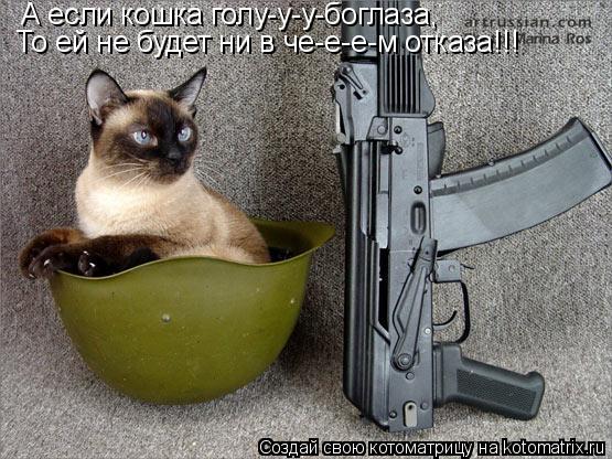 А если кошка голу-у-у-боглаза, То ей не будет ни в че-е-е-м отказа!!!... Котоматрица: А если кошка голу-у-у-боглаза, То ей не будет ни в че-е-е-м отказа!!!