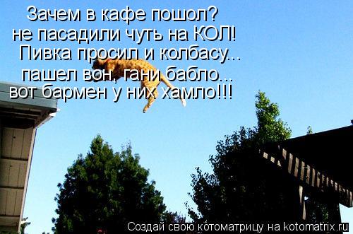 Зачем в кафе пошол? не пасадили чуть на КОЛ! Пивка просил и колбасу... пашел вон, гани бабло... вот... Котоматрица: Зачем в кафе пошол? не пасадили чуть на КОЛ! Пивка просил и колбасу... пашел вон, гани бабло... вот бармен у них хамло!!!