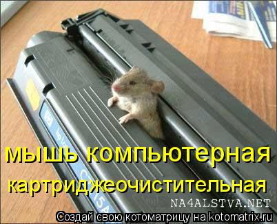 Котоматрица: мышь компьютерная картриджеочистительная