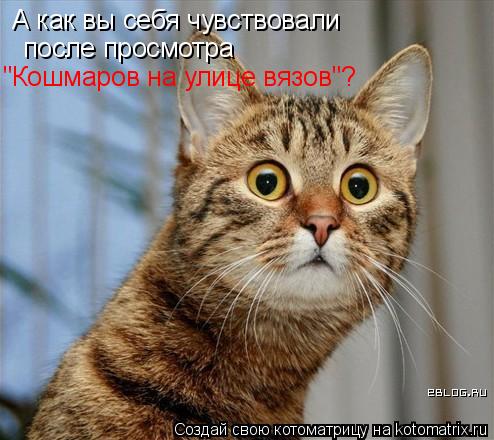 Котоматрица: А как вы себя чувствовали после просмотра  "Кошмаров на улице вязов"?