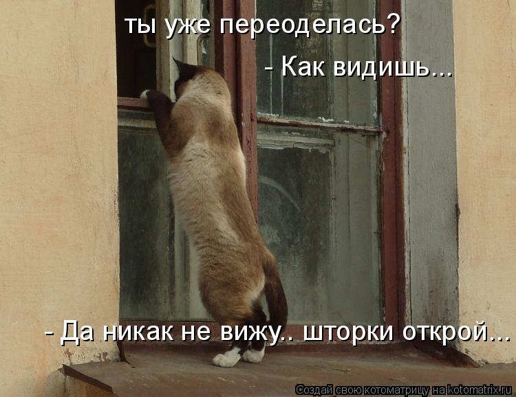 ты уже переоделась? - Как видишь... - Да никак не вижу.. шторки открой...... Котоматрица: ты уже переоделась? - Как видишь... - Да никак не вижу.. шторки открой...