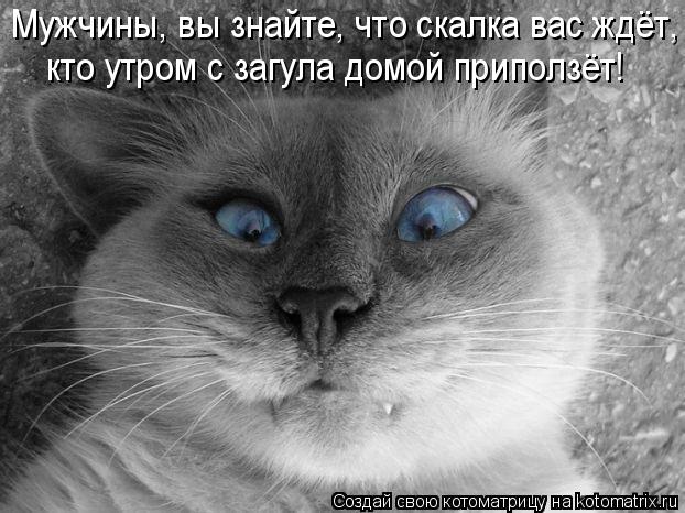 Мужчины, вы знайте, что скалка вас ждёт, кто утром с загула домой приползёт!... Котоматрица: Мужчины, вы знайте, что скалка вас ждёт, кто утром с загула домой приползёт!