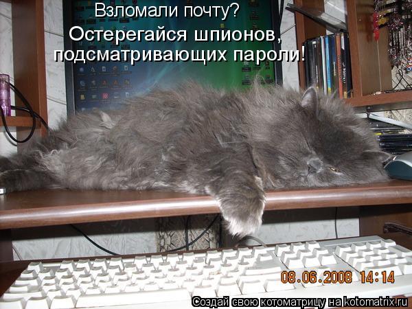Взломали почту? Остерегайся шпионов, подсматривающих пароли!... Котоматрица: Взломали почту? Остерегайся шпионов, подсматривающих пароли!
