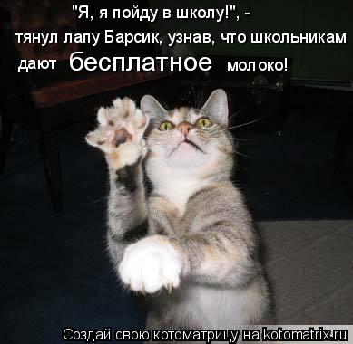 "Я, я пойду в школу!", - тянул лапу Барсик, узнав, что школьникам дают бесплатное молоко!... Котоматрица: "Я, я пойду в школу!", - тянул лапу Барсик, узнав, что школьникам дают бесплатное молоко!