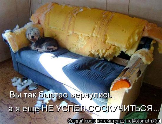 Вы так быстро вернулись, а я еще НЕ УСПЕЛ СОСКУЧИТЬСЯ...... Котоматрица: Вы так быстро вернулись, а я еще НЕ УСПЕЛ СОСКУЧИТЬСЯ...