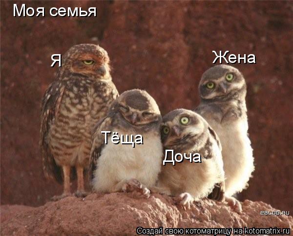 Я Жена Доча Тёща Моя семья... Котоматрица: Я Жена Доча Тёща Моя семья