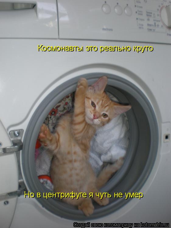 Космонавты это реально круто Но в центрифуге я чуть не умер... Котоматрица: Космонавты это реально круто Но в центрифуге я чуть не умер