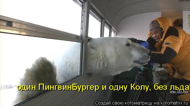один ПингвинБургер и одну Колу, без льда... Котоматрица: один ПингвинБургер и одну Колу, без льда