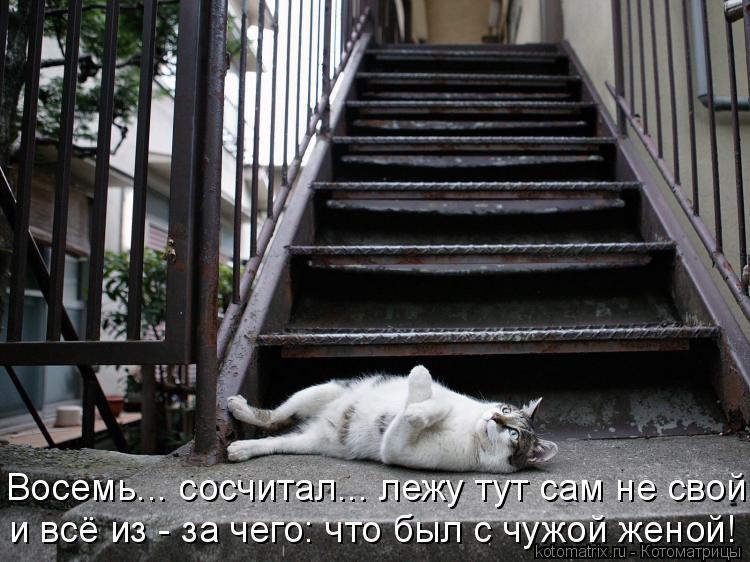 Восемь... сосчитал... лежу тут сам не свой, и всё из - за чего: что был с чужой женой!... Котоматрица: Восемь... сосчитал... лежу тут сам не свой, и всё из - за чего: что был с чужой женой!