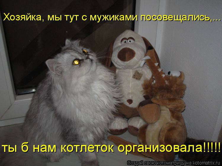 Хозяйка, мы тут с мужиками посовещались,... ты б нам котлеток организовала!!!!!... Котоматрица: Хозяйка, мы тут с мужиками посовещались,... ты б нам котлеток организовала!!!!!