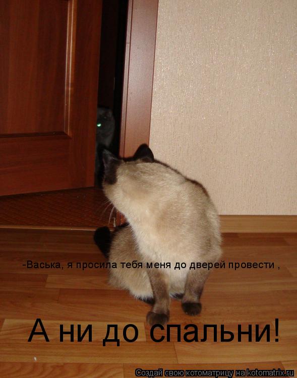 -Васька, я просила тебя меня до дверей провести , А ни до спальни!... Котоматрица: -Васька, я просила тебя меня до дверей провести , А ни до спальни!