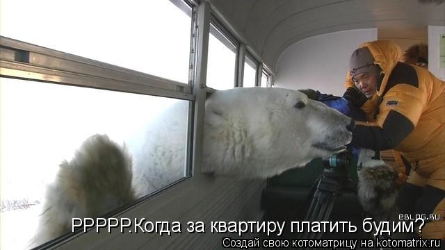 РРРРР.Когда за квартиру платить будим?... Котоматрица: РРРРР.Когда за квартиру платить будим?