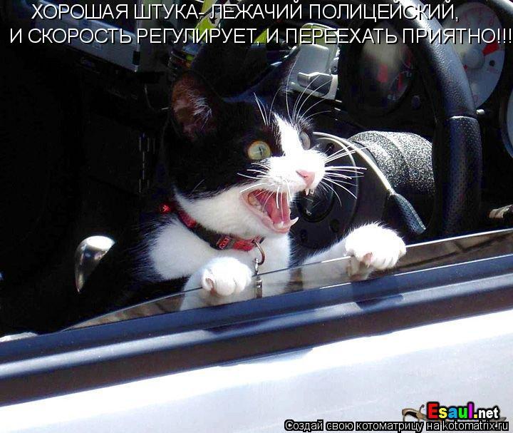 ХОРОШАЯ ШТУКА- ЛЕЖАЧИЙ ПОЛИЦЕЙСКИЙ, И СКОРОСТЬ РЕГУЛИРУЕТ, И ПЕРЕЕХАТЬ ПРИЯТНО!!!... Котоматрица: ХОРОШАЯ ШТУКА- ЛЕЖАЧИЙ ПОЛИЦЕЙСКИЙ, И СКОРОСТЬ РЕГУЛИРУЕТ, И ПЕРЕЕХАТЬ ПРИЯТНО!!!