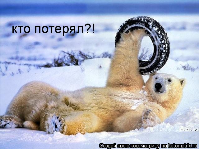 кто потерял?!... Котоматрица: кто потерял?!