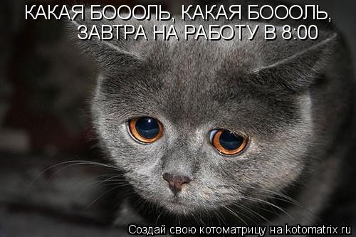 КАКАЯ БОООЛЬ, КАКАЯ БОООЛЬ, ЗАВТРА НА РАБОТУ В 8:00... Котоматрица: КАКАЯ БОООЛЬ, КАКАЯ БОООЛЬ, ЗАВТРА НА РАБОТУ В 8:00