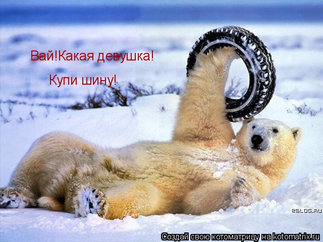 Вай!Какая девушка! Купи шину!... Котоматрица: Вай!Какая девушка! Купи шину!