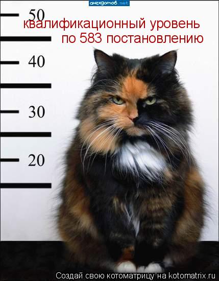 квалификационный уровень по 583 постановлению... Котоматрица: квалификационный уровень по 583 постановлению