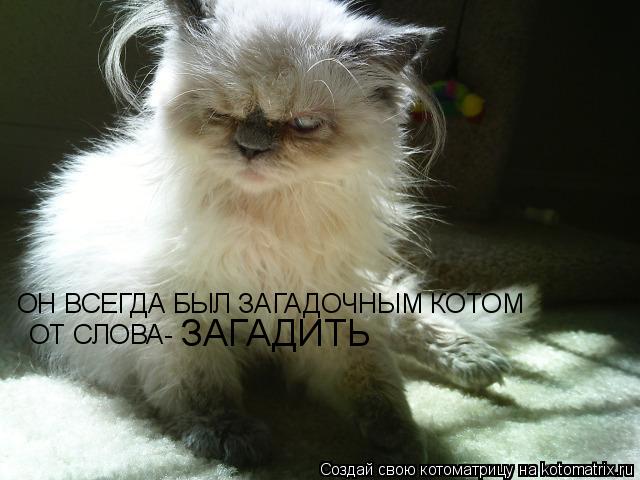 ОН ВСЕГДА БЫЛ ЗАГАДОЧНЫМ КОТОМ ОТ СЛОВА- ЗАГАДИТЬ... Котоматрица: ОН ВСЕГДА БЫЛ ЗАГАДОЧНЫМ КОТОМ ОТ СЛОВА- ЗАГАДИТЬ