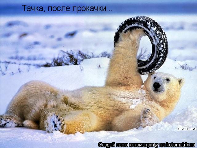 Тачка, после прокачки...... Котоматрица: Тачка, после прокачки...