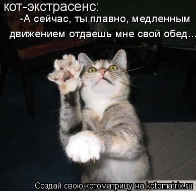 кот-экстрасенс: -А сейчас, ты плавно, медленным движением отдаешь мне свой обед...... Котоматрица: кот-экстрасенс: -А сейчас, ты плавно, медленным движением отдаешь мне свой обед...