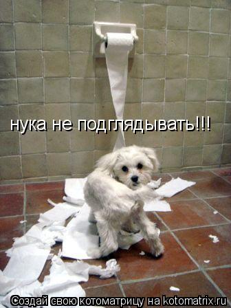 нука не подглядывать!!!... Котоматрица: нука не подглядывать!!!