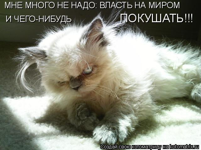 МНЕ МНОГО НЕ НАДО: ВЛАСТЬ НА МИРОМ И ЧЕГО-НИБУДЬ ПОКУШАТЬ!!!... Котоматрица: МНЕ МНОГО НЕ НАДО: ВЛАСТЬ НА МИРОМ И ЧЕГО-НИБУДЬ ПОКУШАТЬ!!!