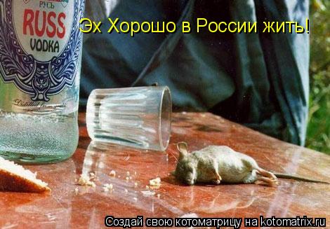 Эх Хорошо в России жить!... Котоматрица: Эх Хорошо в России жить!