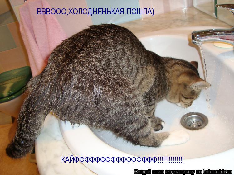 ВВВООО,ХОЛОДНЕНЬКАЯ ПОШЛА) КАЙФФФФФФФФФФФФФФФФ!!!!!!!!!!!!!!... Котоматрица: ВВВООО,ХОЛОДНЕНЬКАЯ ПОШЛА) КАЙФФФФФФФФФФФФФФФФ!!!!!!!!!!!!!!