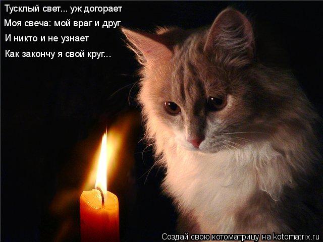 Тусклый свет... уж догорает Моя свеча: мой враг и друг И никто и не узнает Как закончу я свой круг...... Котоматрица: Тусклый свет... уж догорает Моя свеча: мой враг и друг И никто и не узнает Как закончу я свой круг...