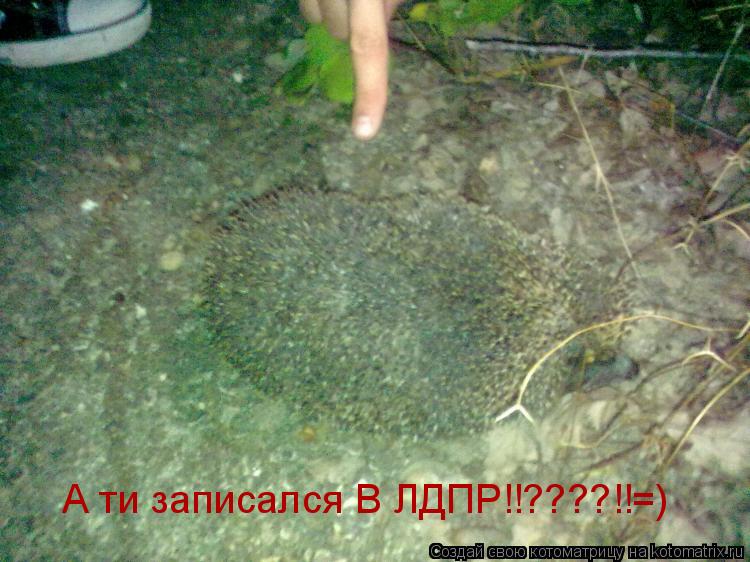 А ти записался В ЛДПР!!????!!=)... Котоматрица: А ти записался В ЛДПР!!????!!=)
