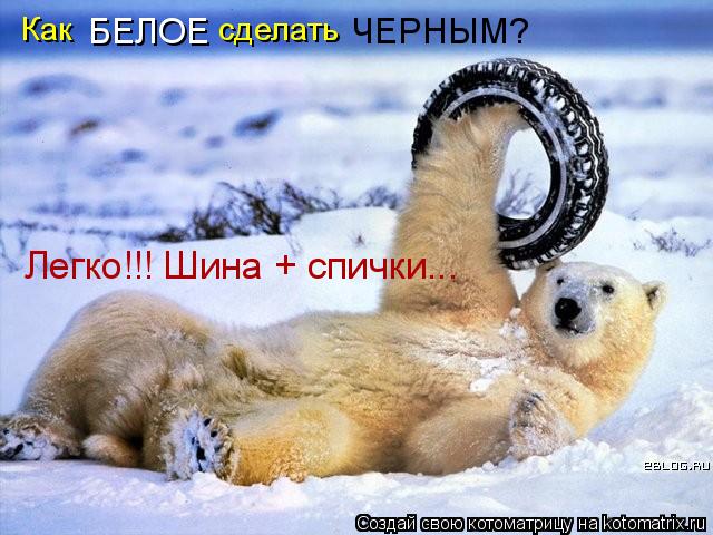Как БЕЛОЕ сделать ЧЕРНЫМ? Легко!!! Шина + спички...... Котоматрица: Как БЕЛОЕ сделать ЧЕРНЫМ? Легко!!! Шина + спички...