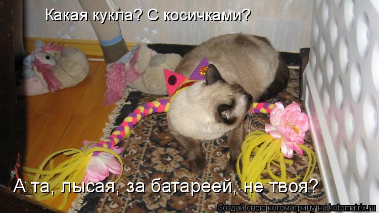 Какая кукла? С косичками? А та, лысая, за батареей, не твоя?... Котоматрица: Какая кукла? С косичками? А та, лысая, за батареей, не твоя?