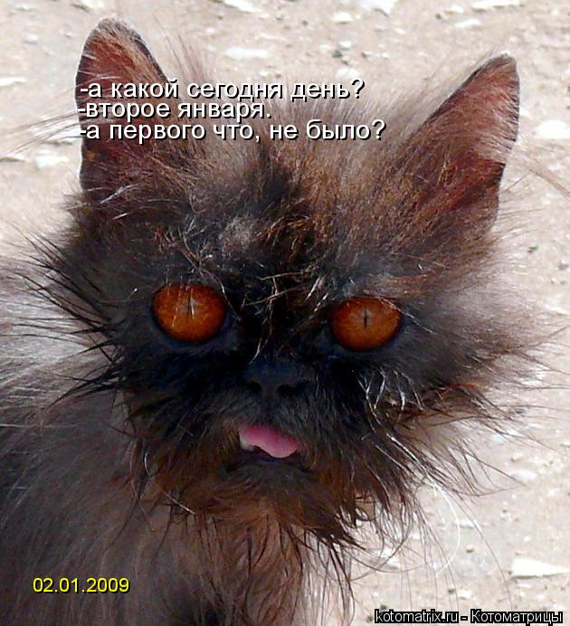 -а какой сегодня день? -второе января. -а первого что, не было? 02.01.2009... Котоматрица: -а какой сегодня день? -второе января. -а первого что, не было? 02.01.2009