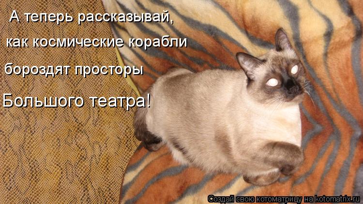 А теперь рассказывай, как космические корабли бороздят просторы Большого театра!... Котоматрица: А теперь рассказывай, как космические корабли бороздят просторы Большого театра!
