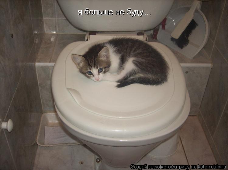 я больше не буду....... Котоматрица: я больше не буду....