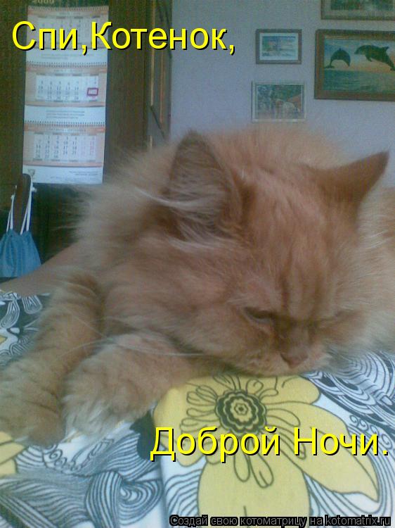 Спи,Котенок, Доброй Ночи.... Котоматрица: Спи,Котенок, Доброй Ночи.
